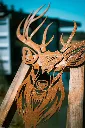 L'INSTANT CORTEN BY GOGOR-48.webp