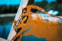 L'INSTANT CORTEN BY GOGOR-44-2.webp