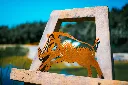 L'INSTANT CORTEN BY GOGOR-43-2.webp