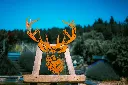 L'INSTANT CORTEN BY GOGOR-12-2.webp