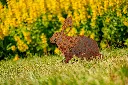 JARDIN. PART 2 By gogor-104.webp