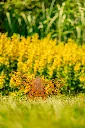 JARDIN. PART 2 By gogor-86.webp