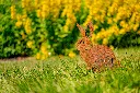 JARDIN. PART 2 By gogor-108.webp