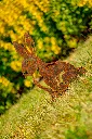 JARDIN. PART 2 By gogor-111.webp