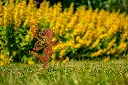 JARDIN. PART 2 By gogor-123.webp