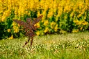 JARDIN. PART 2 By gogor-129.webp