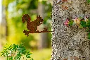JARDIN. PART 2 By gogor-151.webp