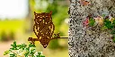 JARDIN. PART 2 By gogor-154.webp