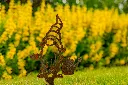 JARDIN PART 1 BY GOGOR-8.webp