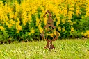JARDIN PART 1 BY GOGOR-17.webp