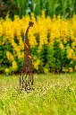 JARDIN PART 1 BY GOGOR-22.webp