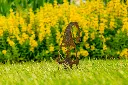 JARDIN PART 1 BY GOGOR-29.webp
