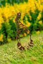 JARDIN PART 1 BY GOGOR-32.webp