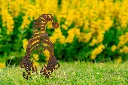 JARDIN PART 1 BY GOGOR-46.webp