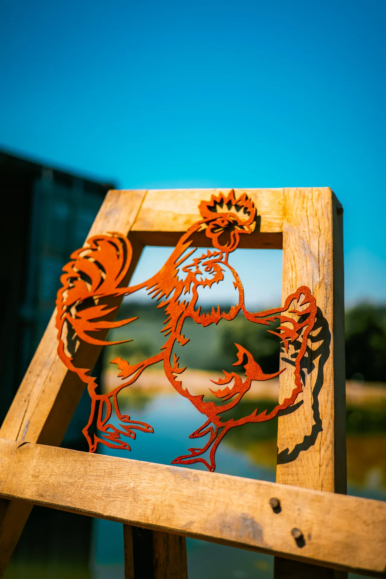 POULE ET COQ