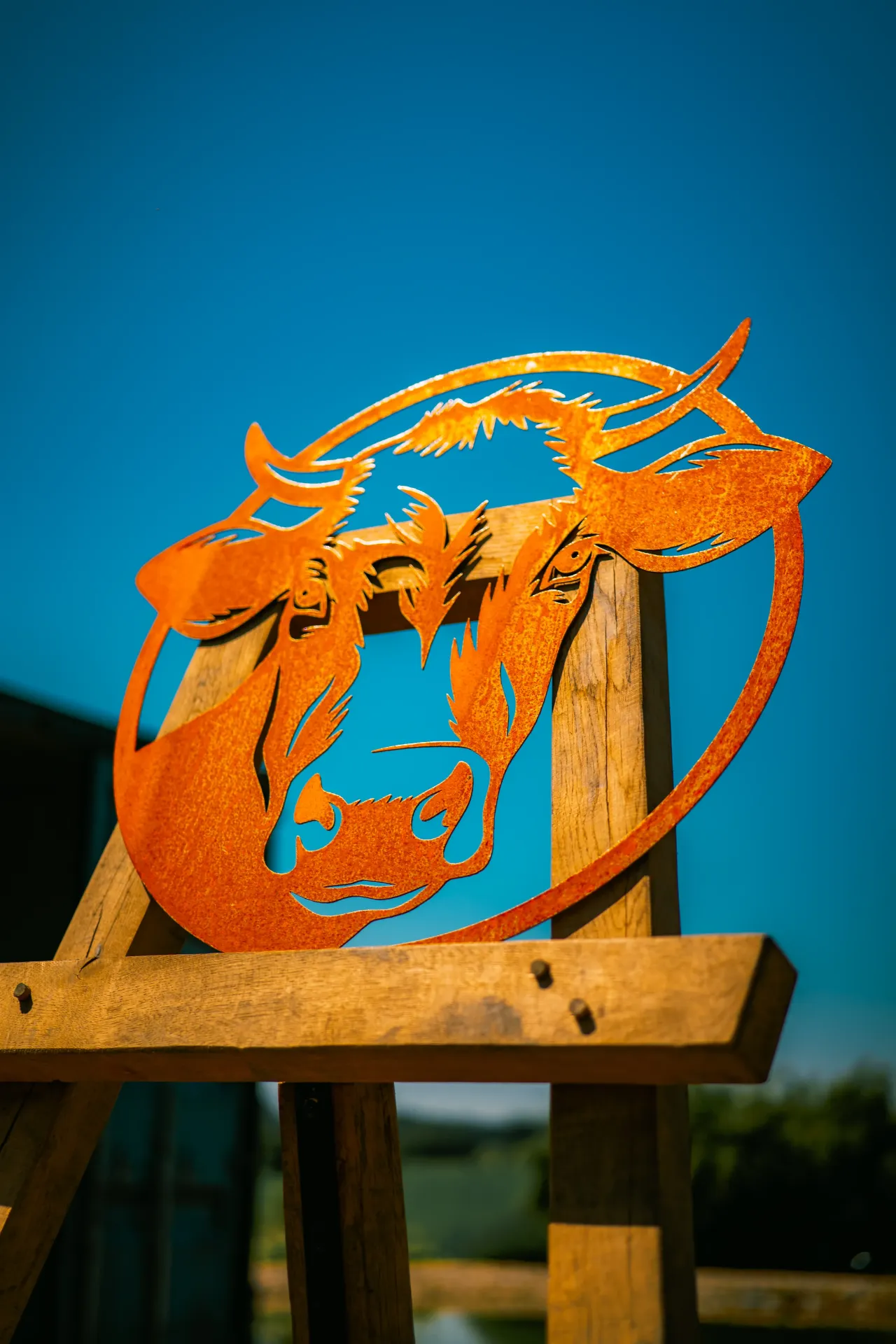 VACHE 3