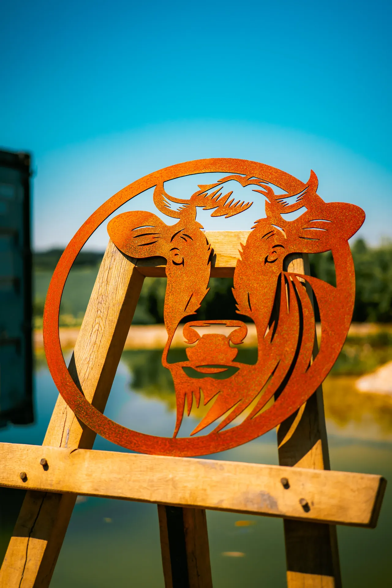 VACHE 6