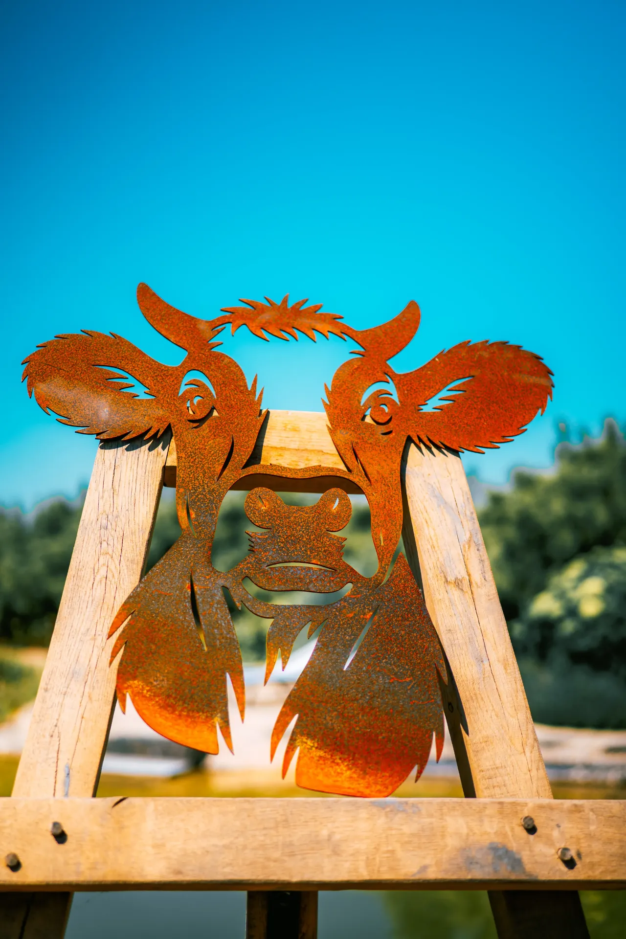 VACHE 8