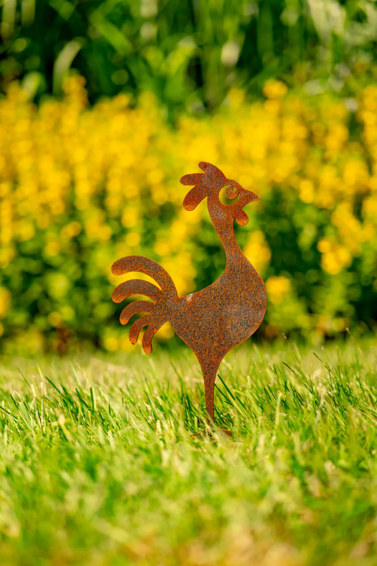 COQ 7