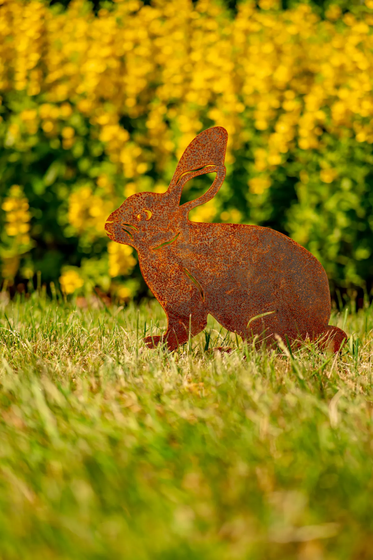 LAPIN 1