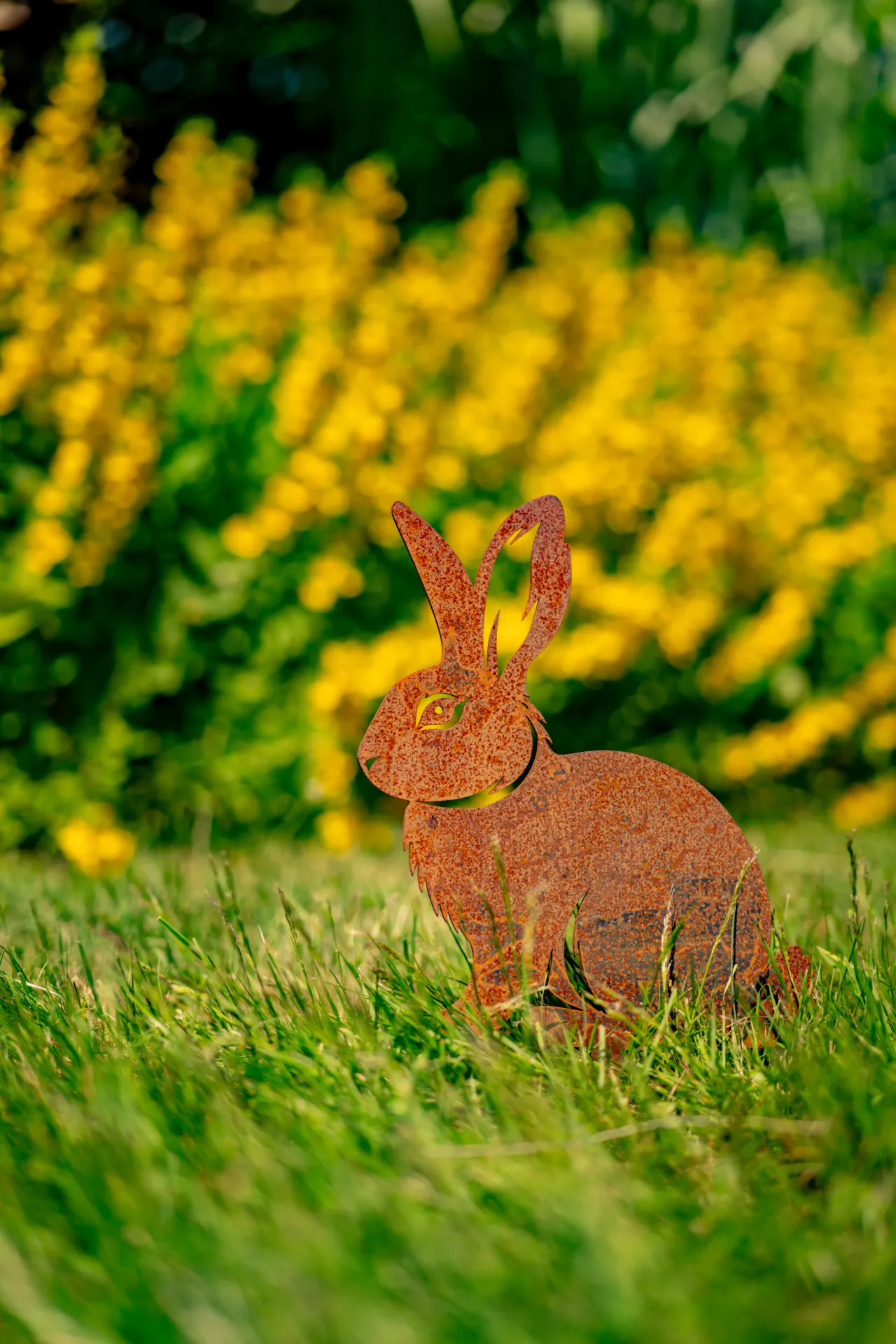 LAPIN 2
