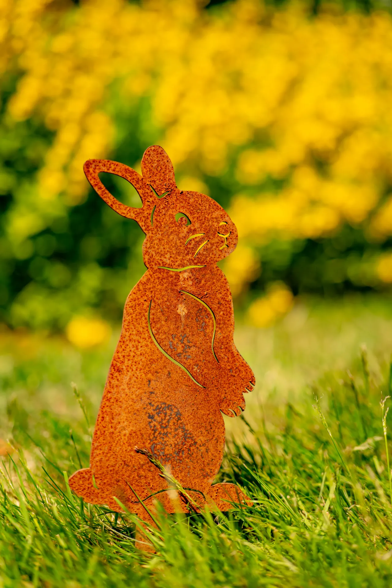 LAPIN 3
