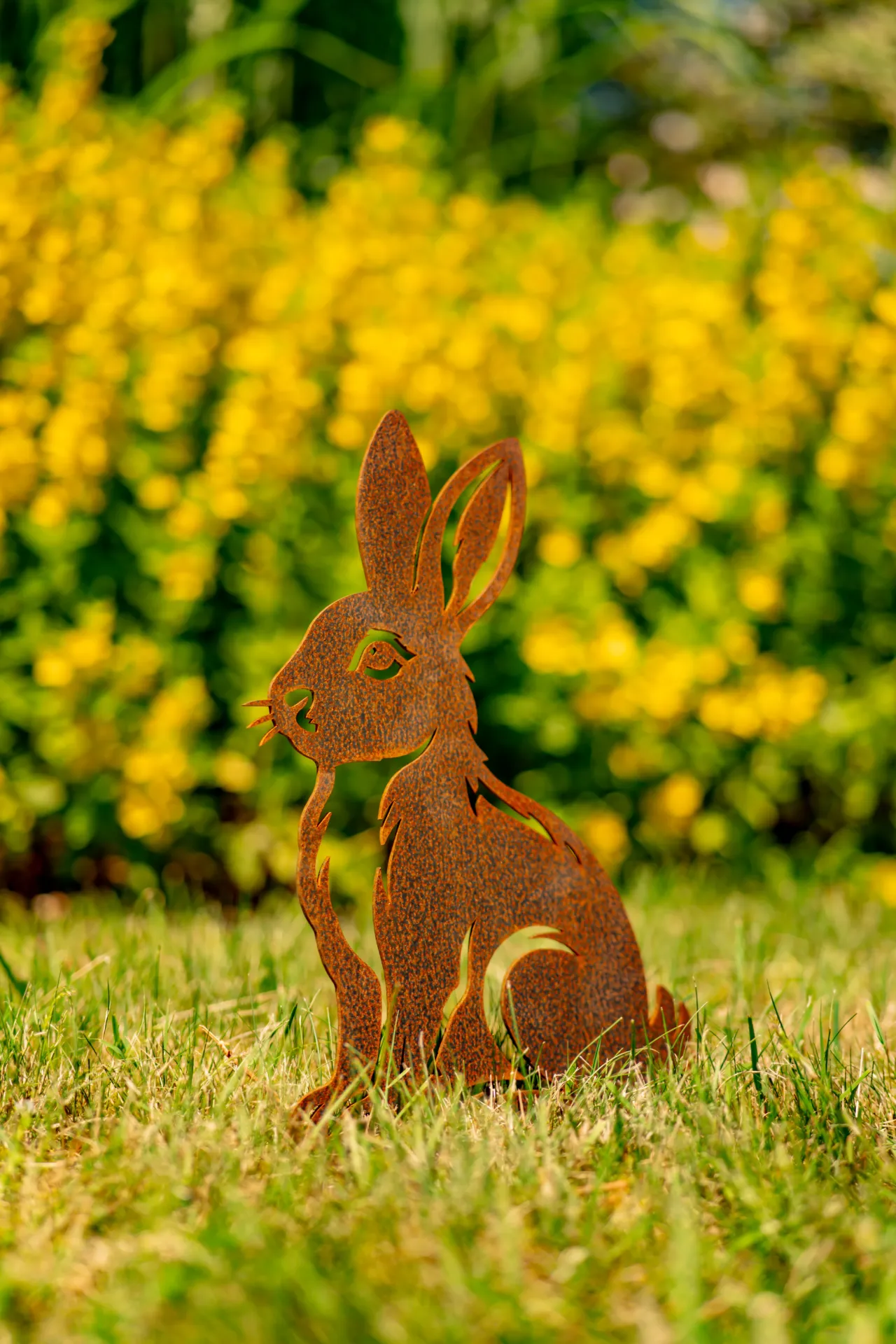 LAPIN 4