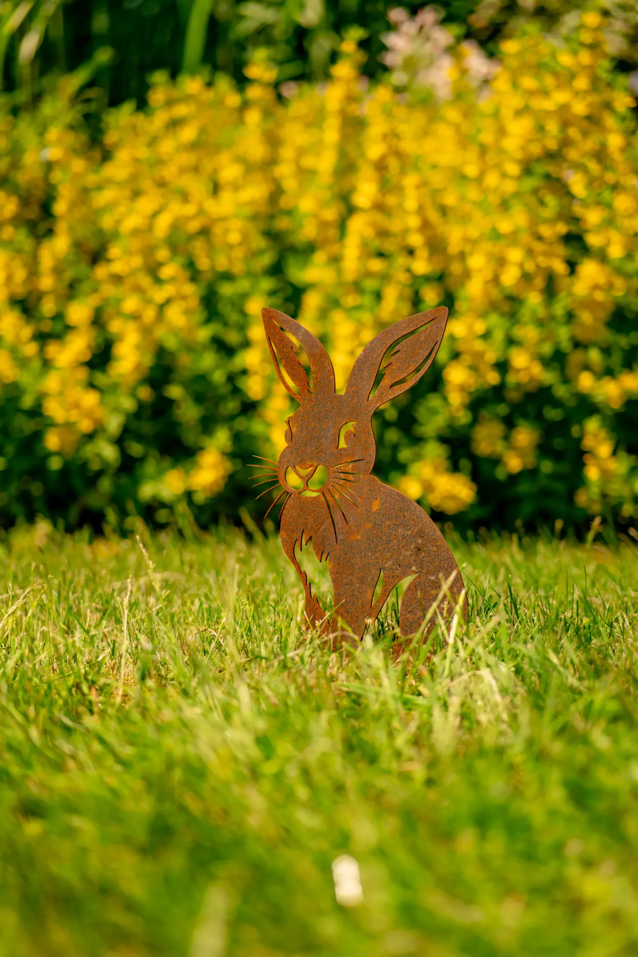 LAPIN 5