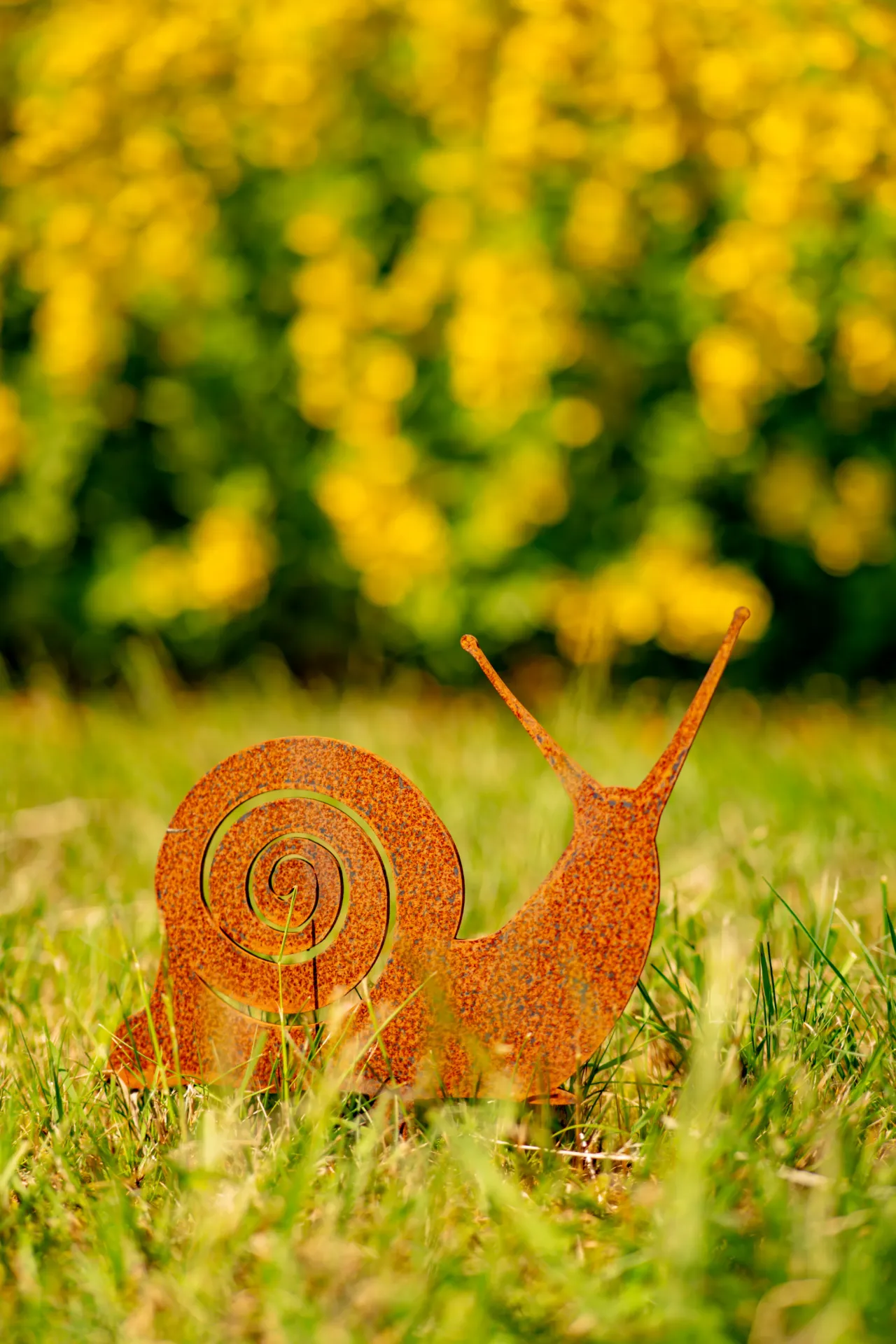 ESCARGOT 1
