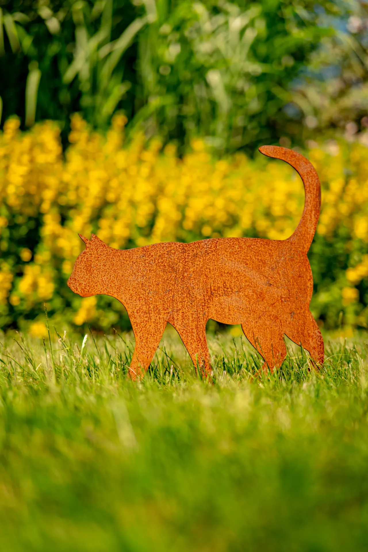 CHAT 3 (Socle compris)