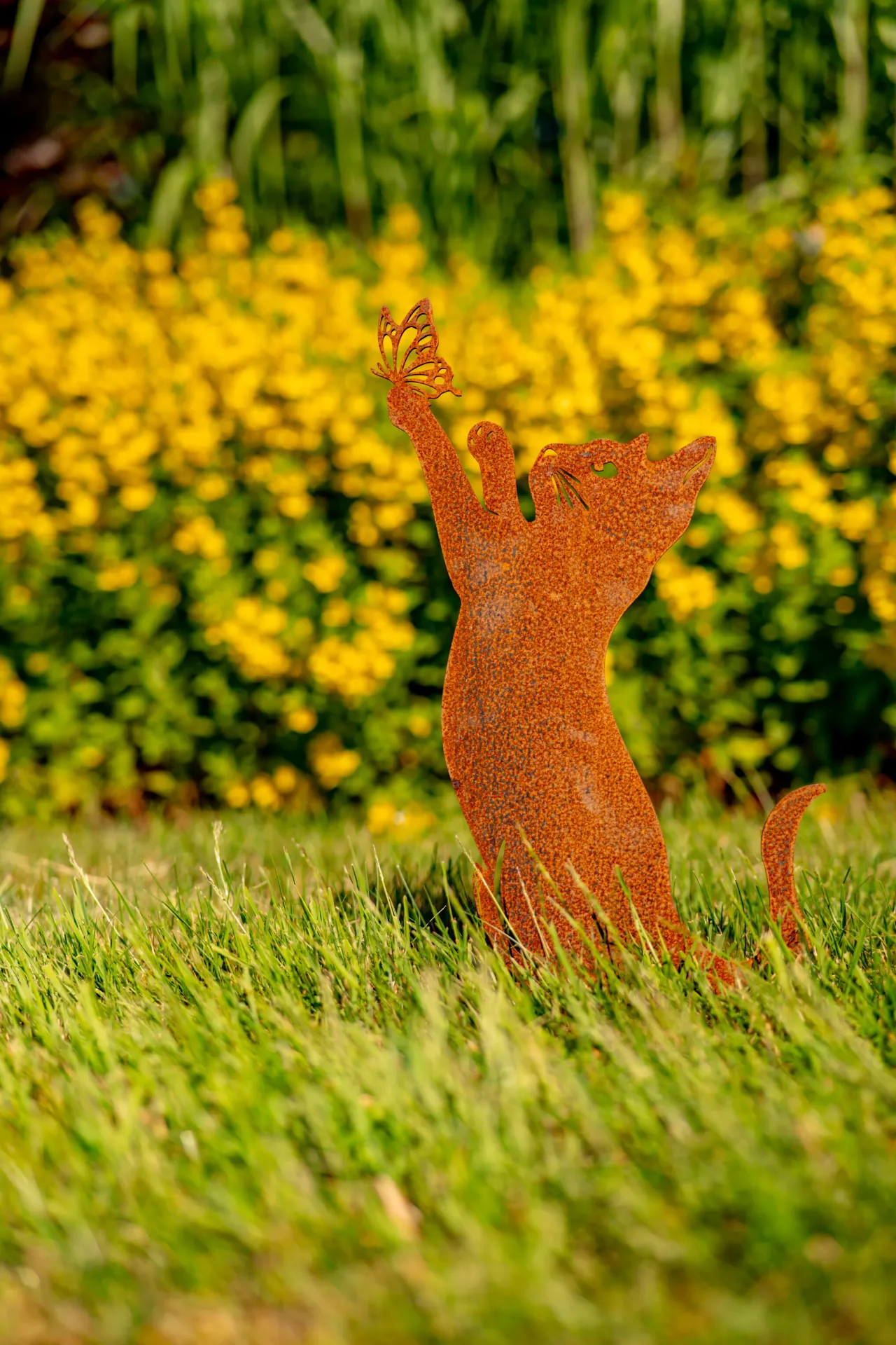 CHAT 6 (Socle compris)