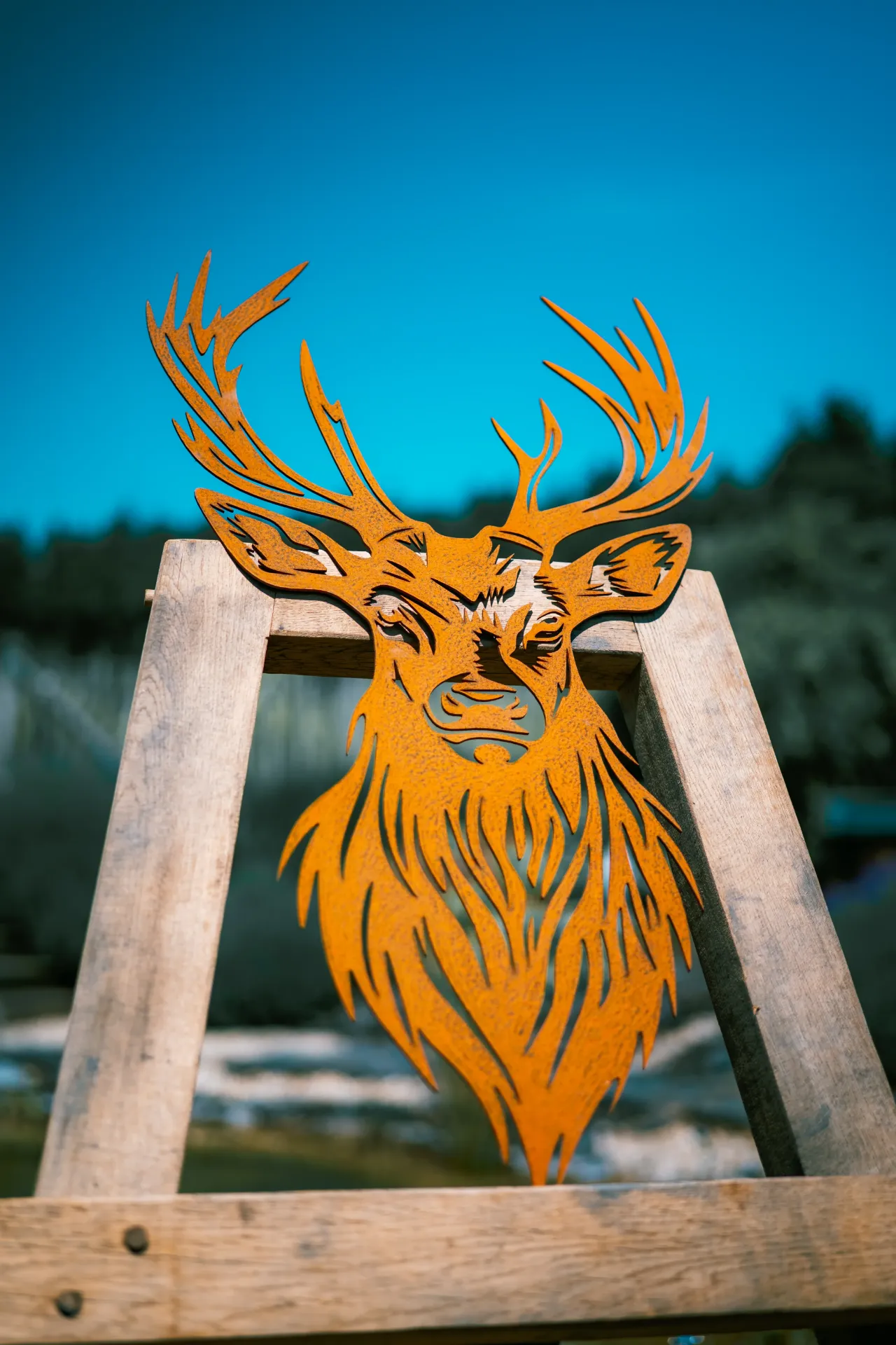 TÊTE DE CERF 1
