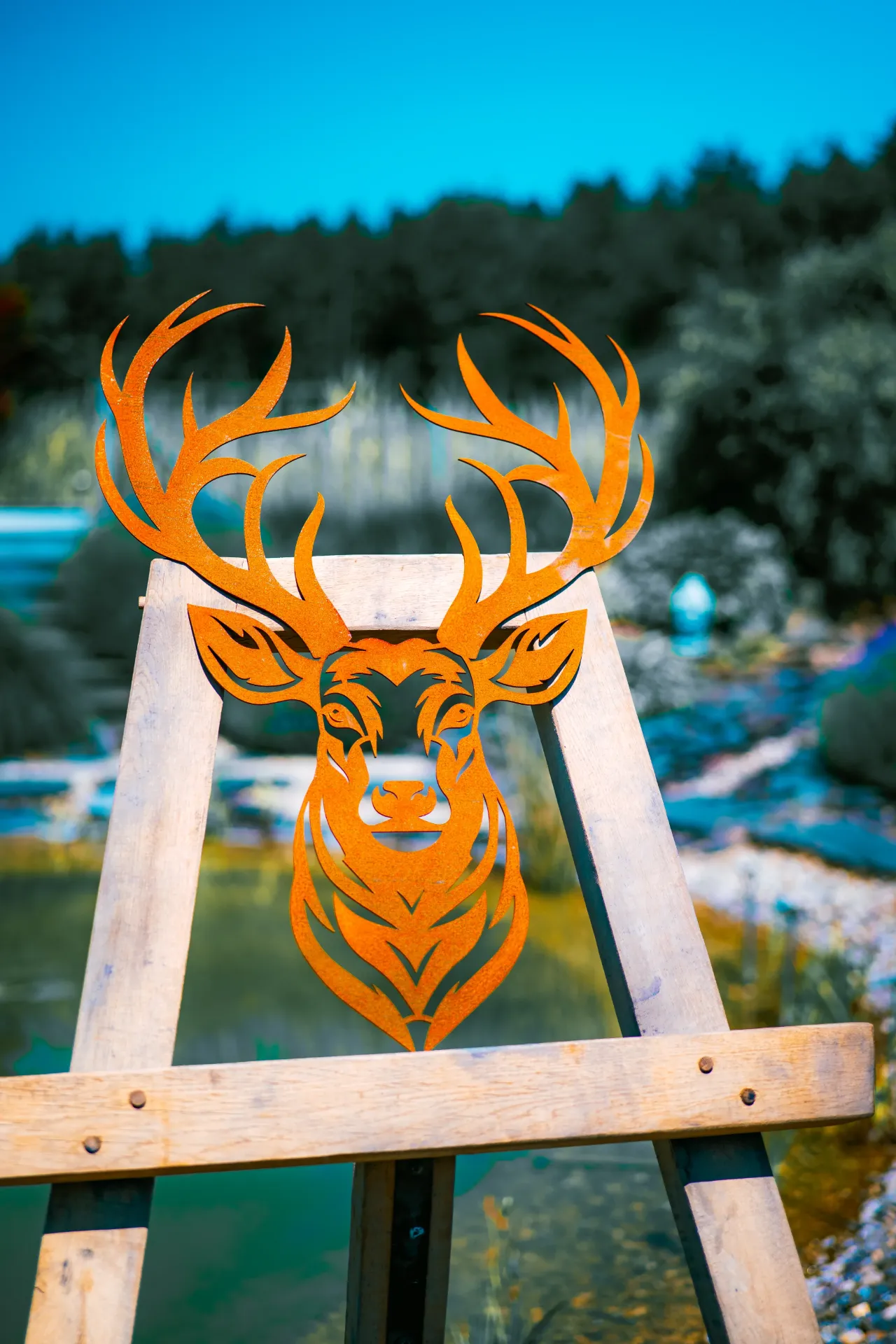[TDC-15-80/57] TÊTE DE CERF 15 (80/57 cm)