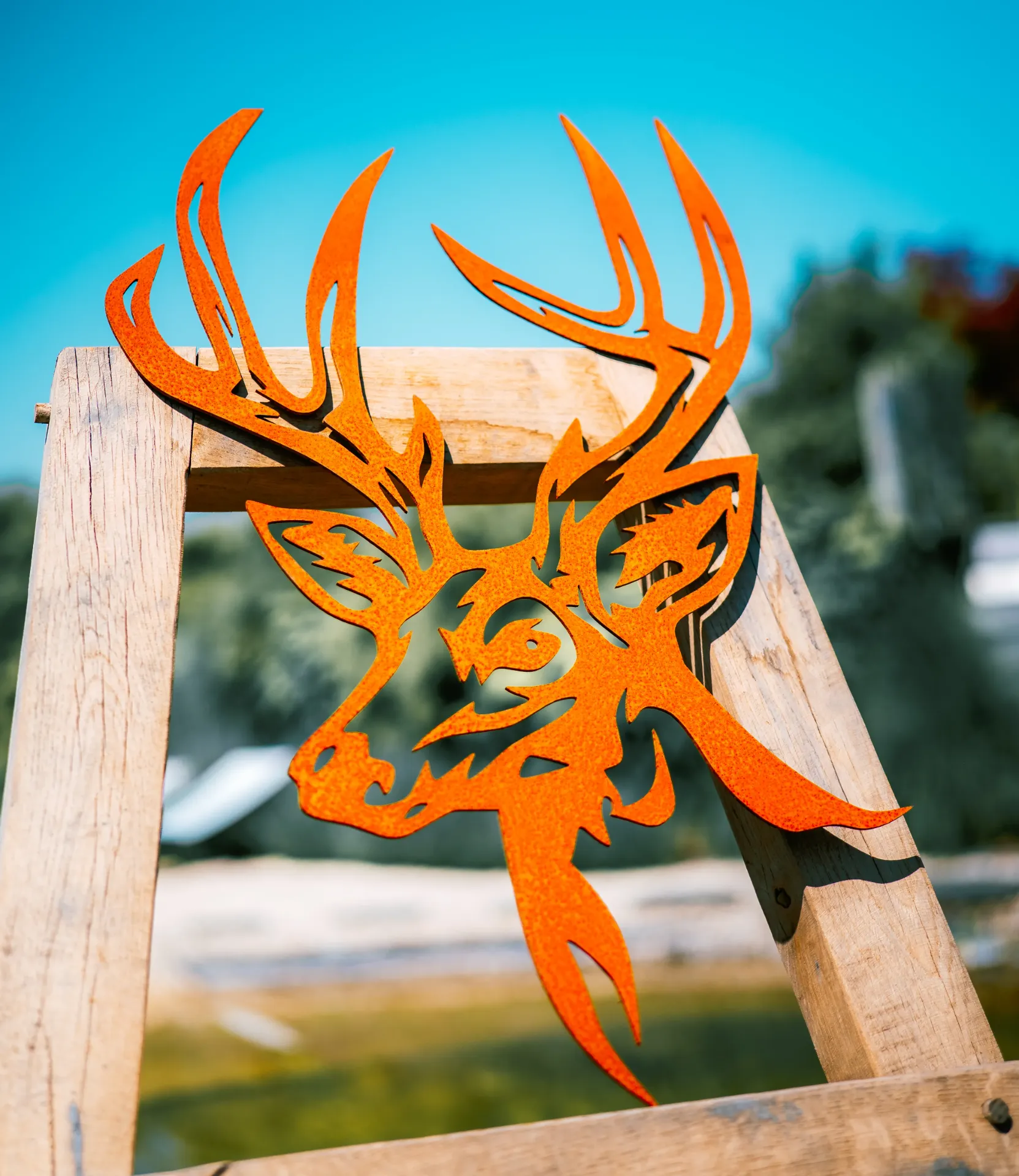 [TDC-18-50/35] TÊTE DE CERF 18 (50/35 cm)