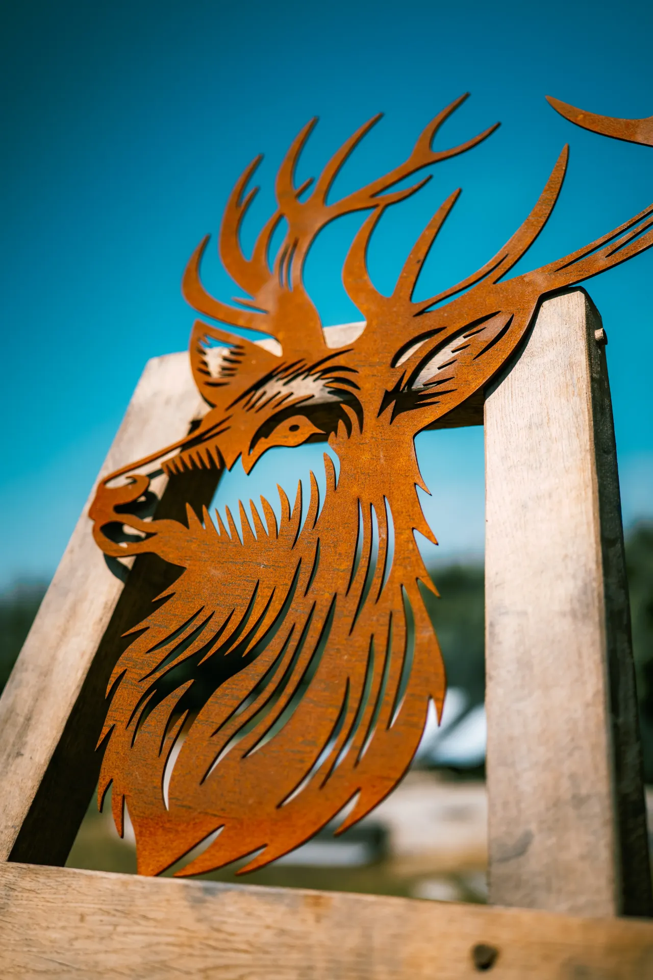 TÊTE DE CERF 6