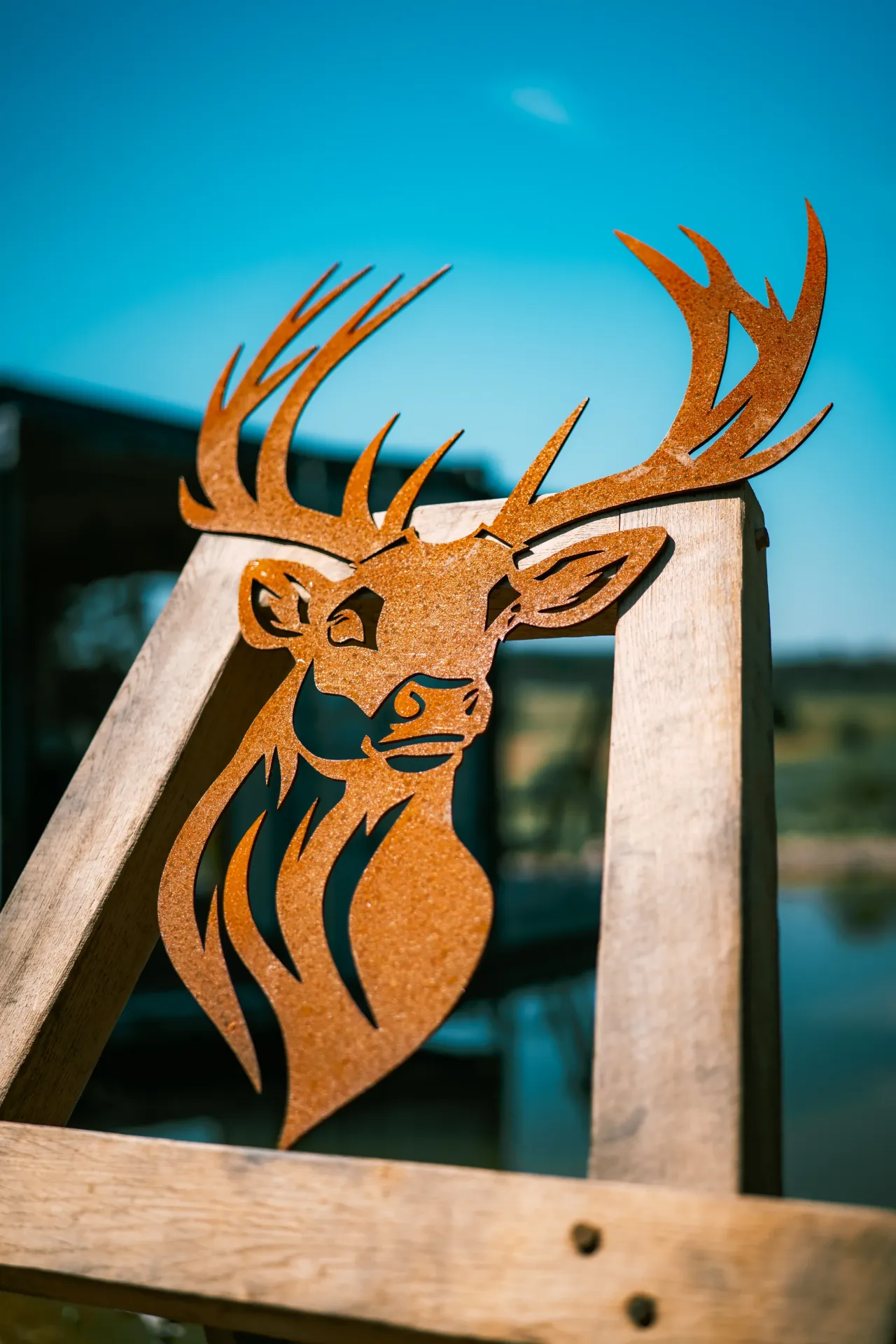 TÊTE DE CERF 3