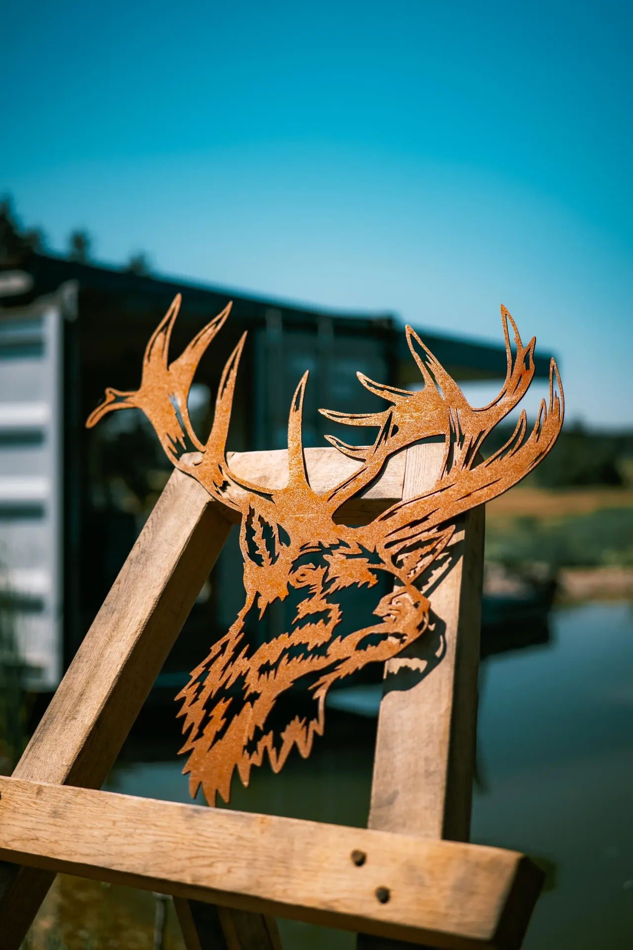 [TDC-04] TÊTE DE CERF 4