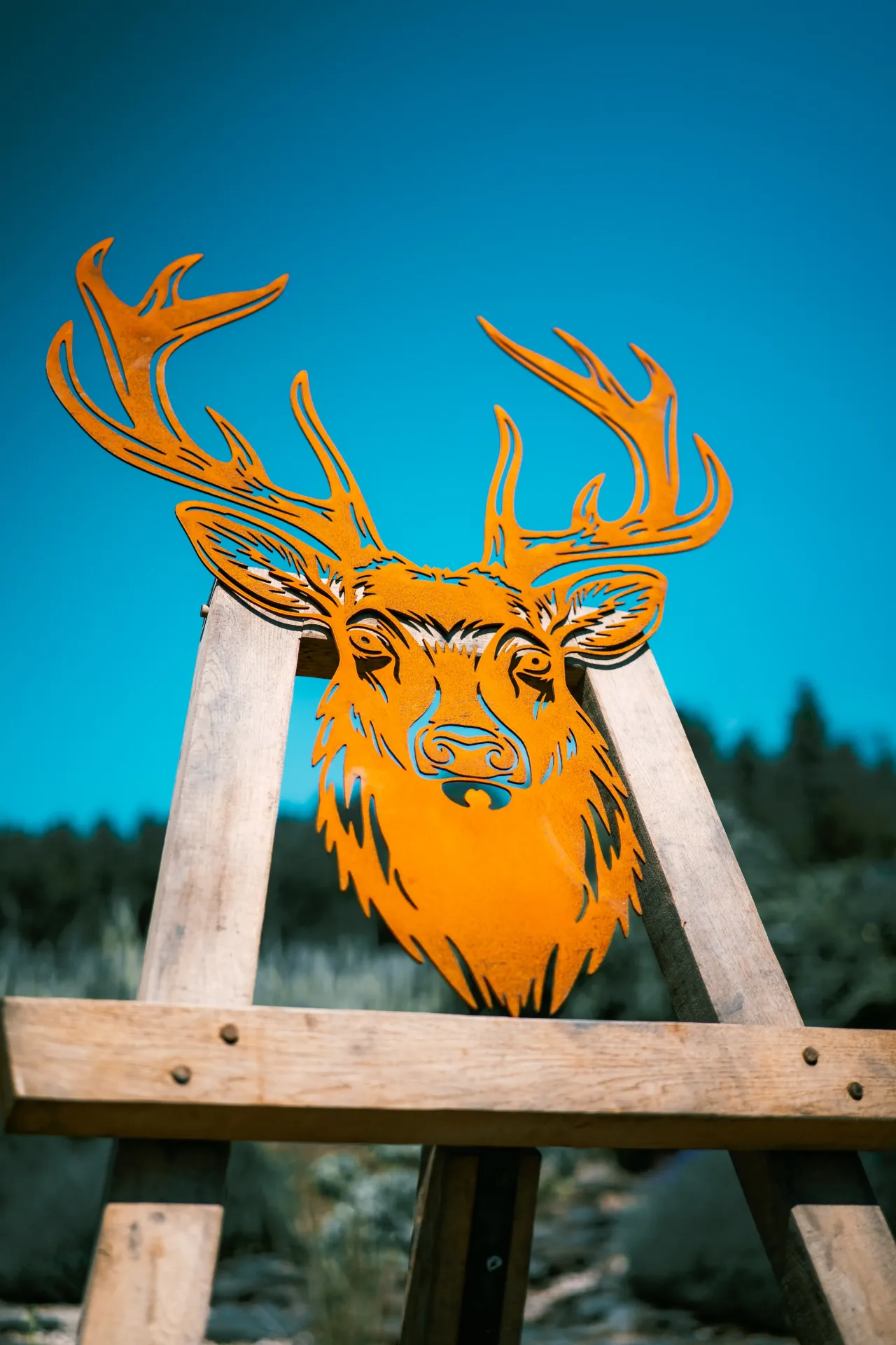 [TDC-05] TÊTE DE CERF 5
