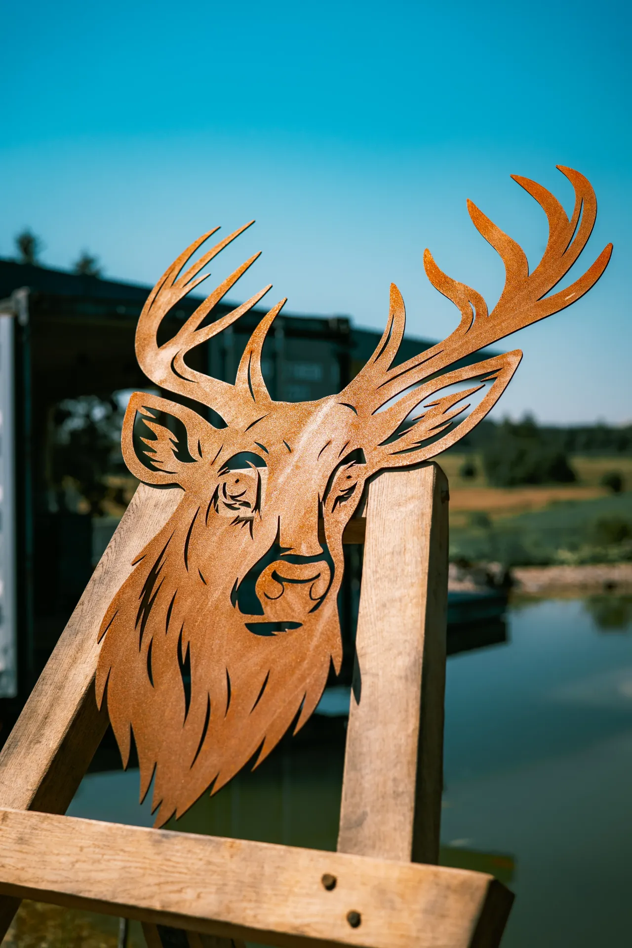 [TDC-07] TÊTE DE CERF 7