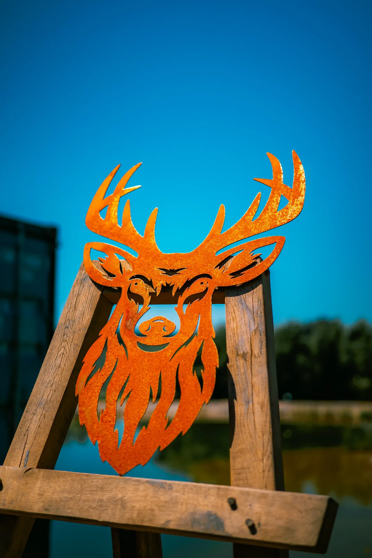 TÊTE DE CERF 10