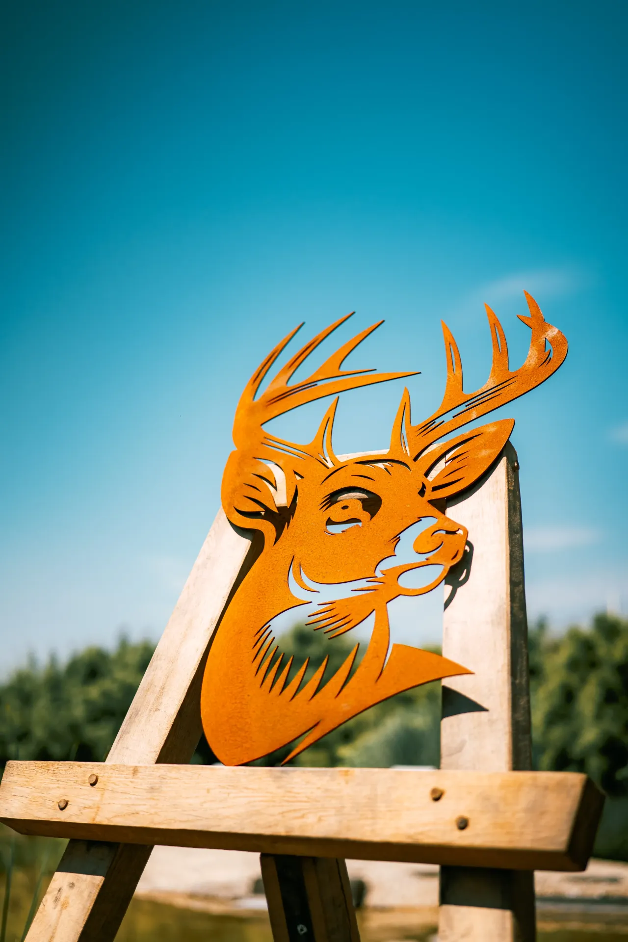 [TDC-11] TÊTE DE CERF 11