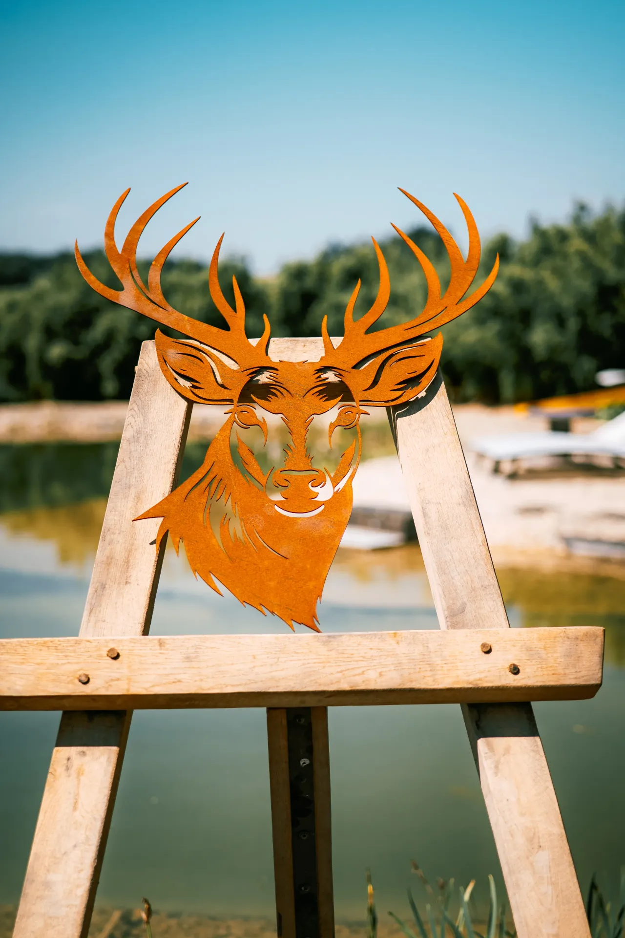 TÊTE DE CERF 12