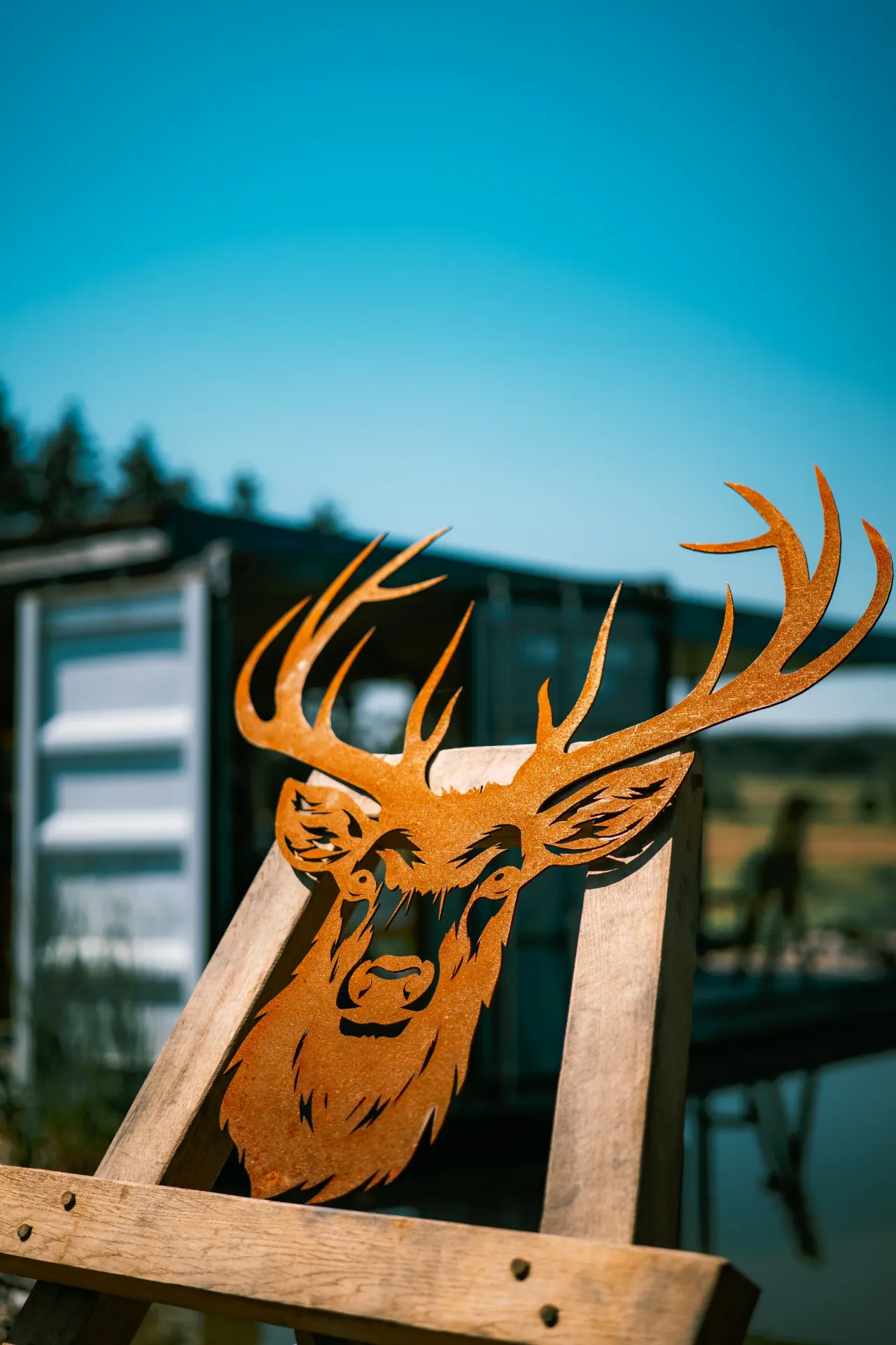 TÊTE DE CERF 13