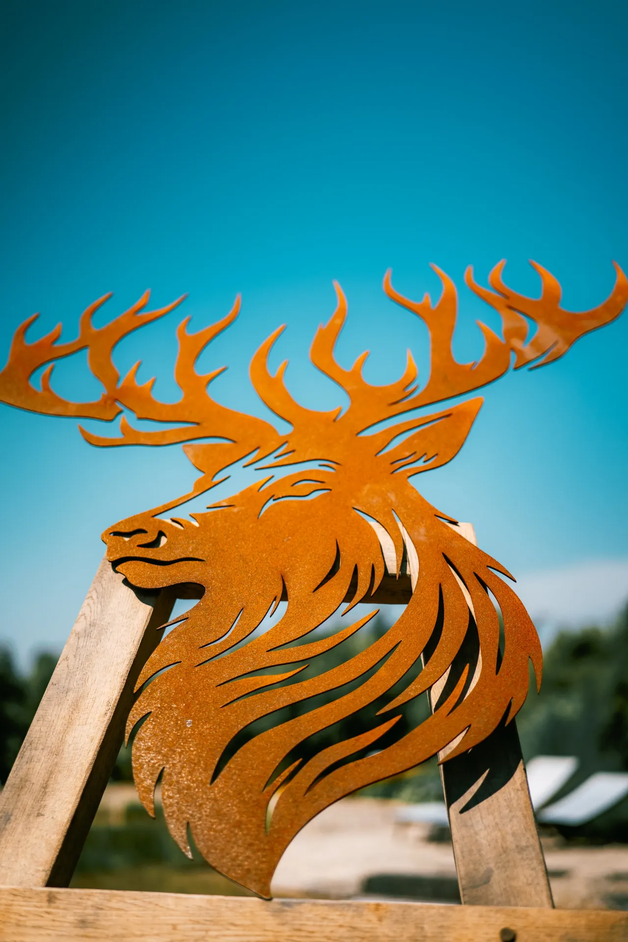 TÊTE DE CERF 14