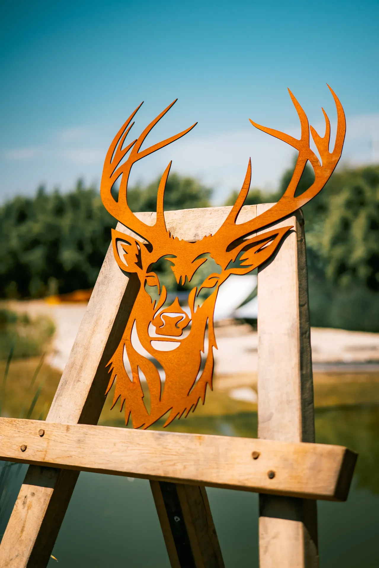 [TDC-16] TÊTE DE CERF 16
