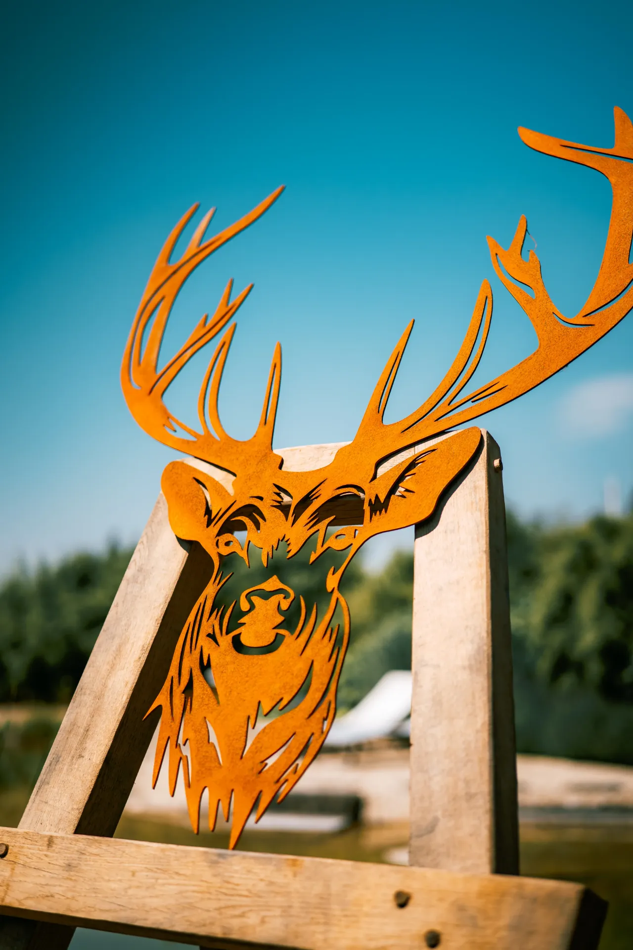 TÊTE DE CERF 17