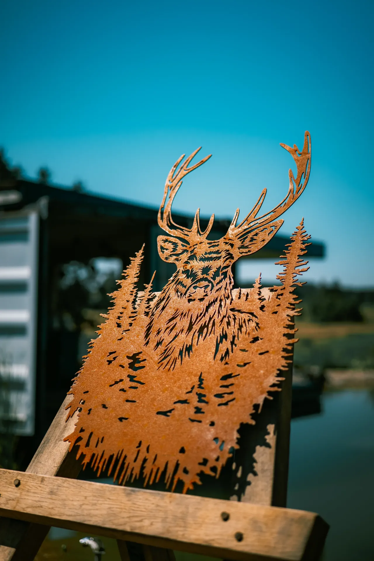 TÊTE DE CERF 19