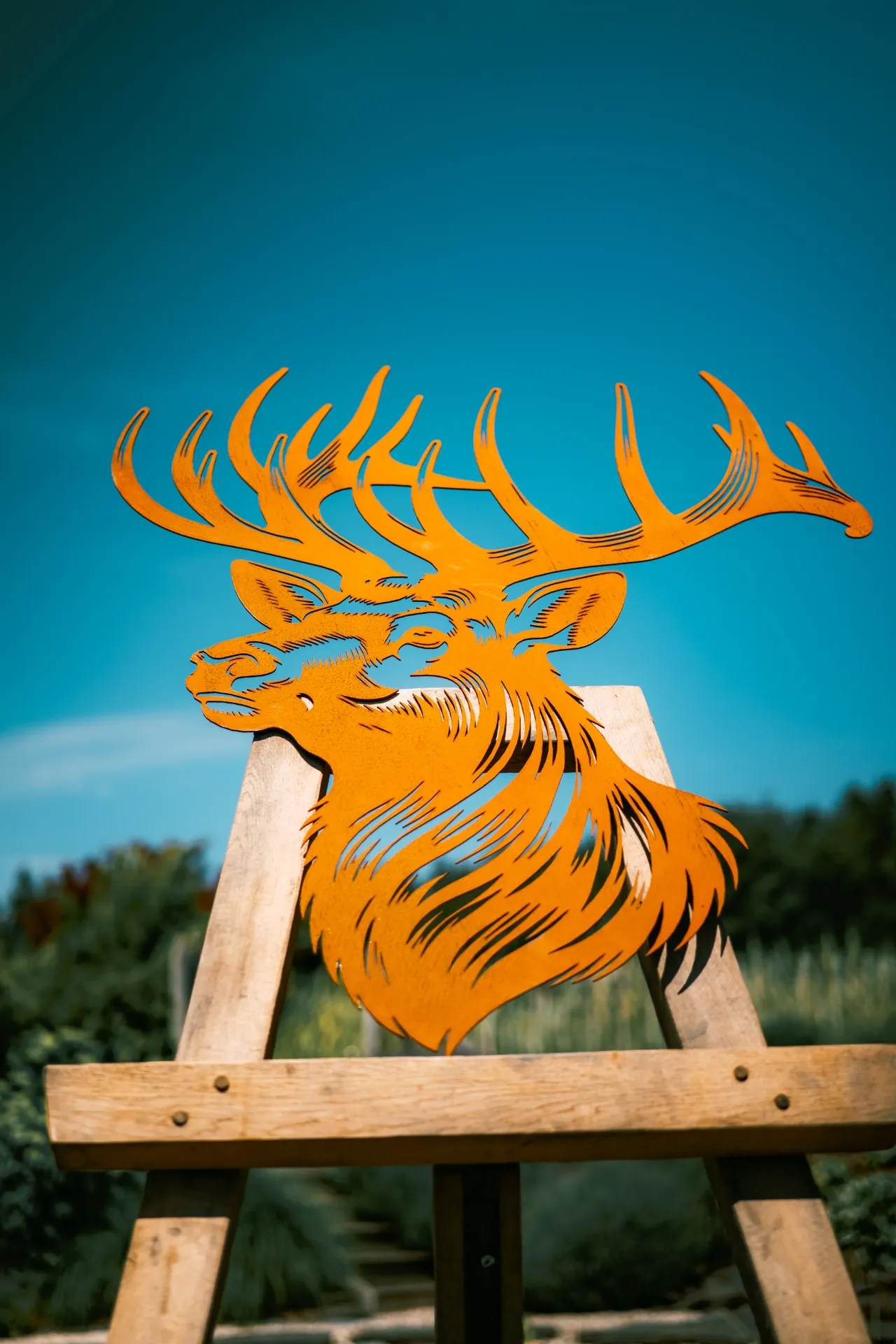 CERF 25