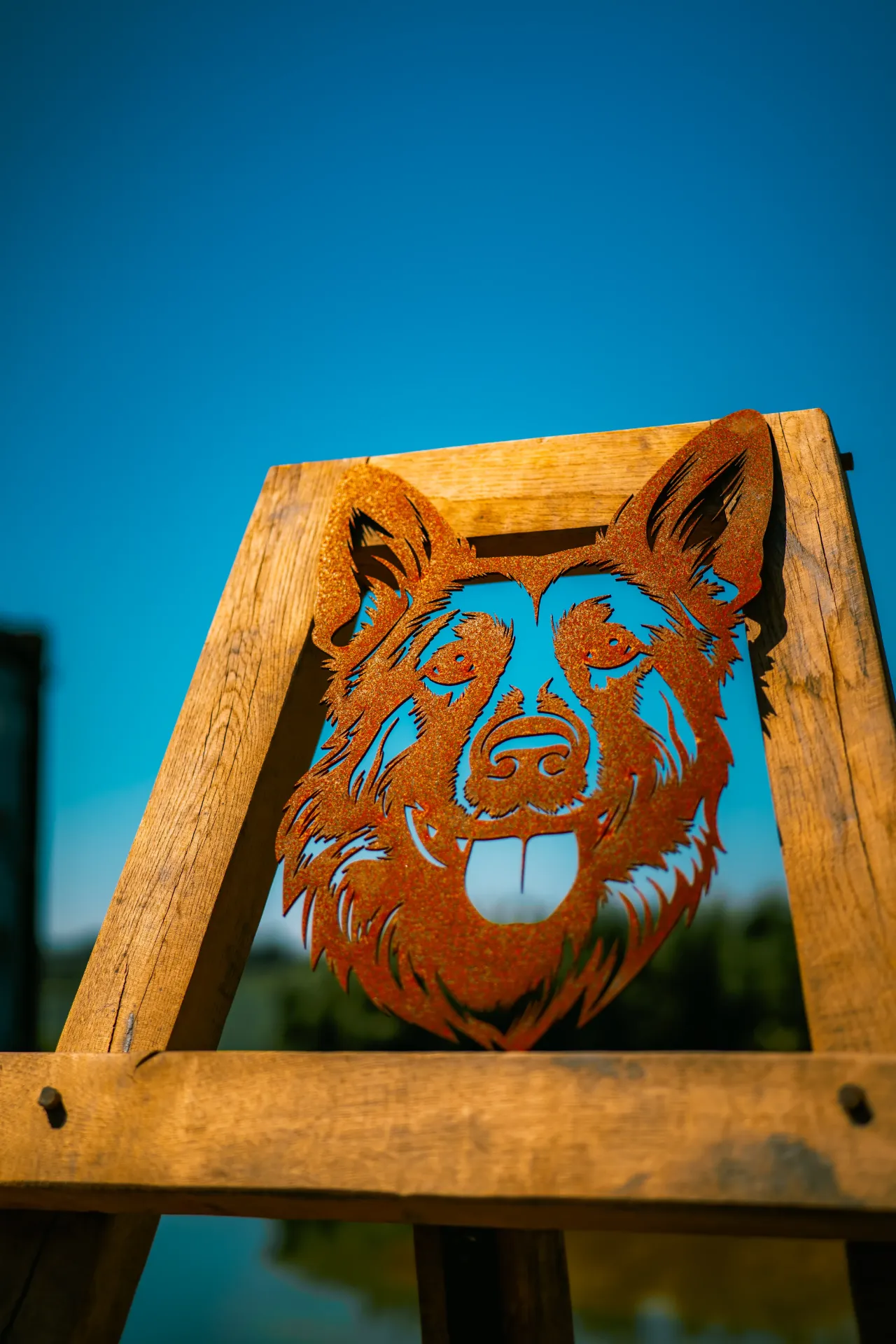 CHIEN 20