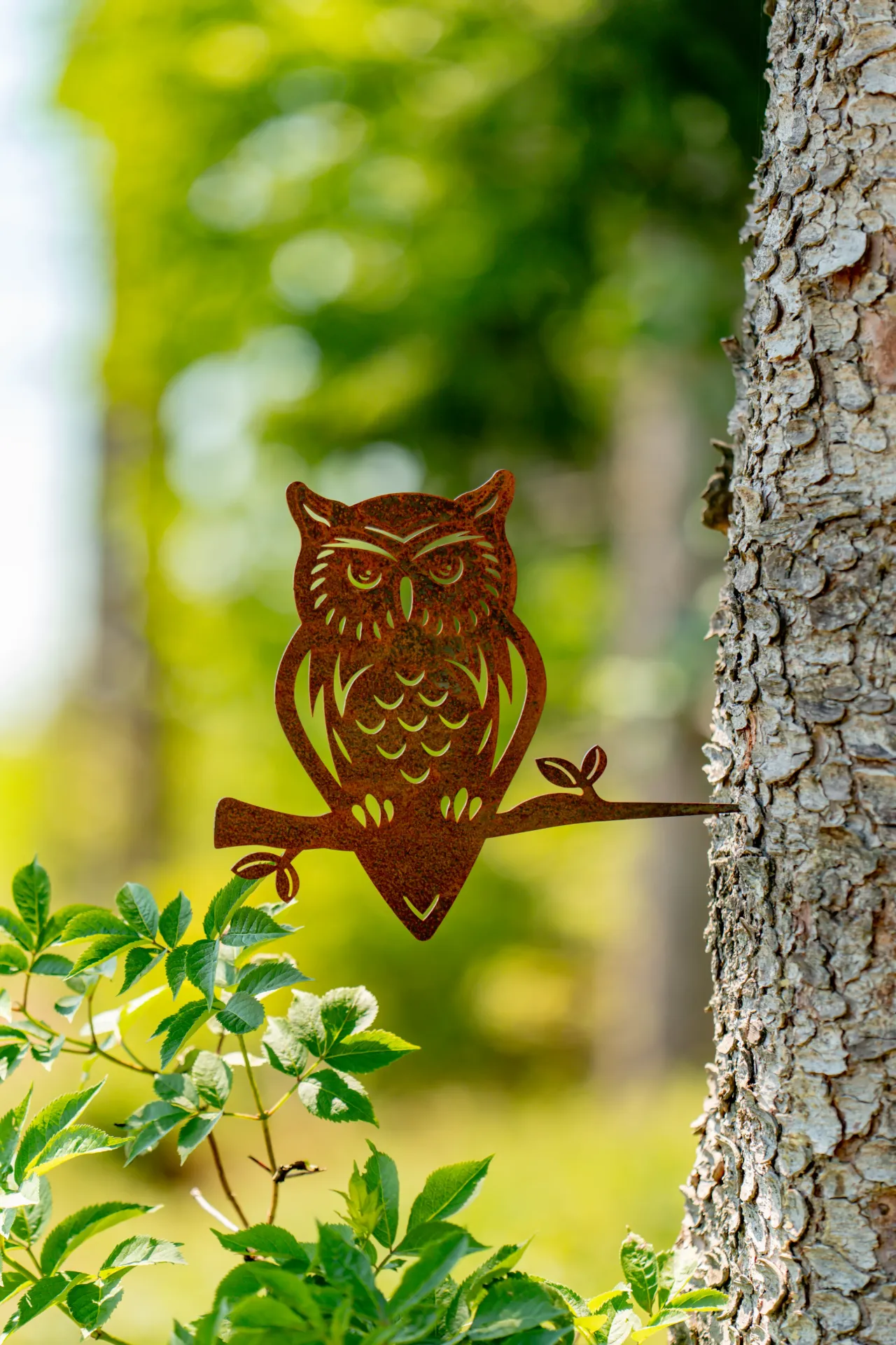 [HIB-01] HIBOU 1